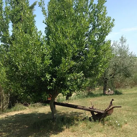Apartman Teruzzi San Gimignano